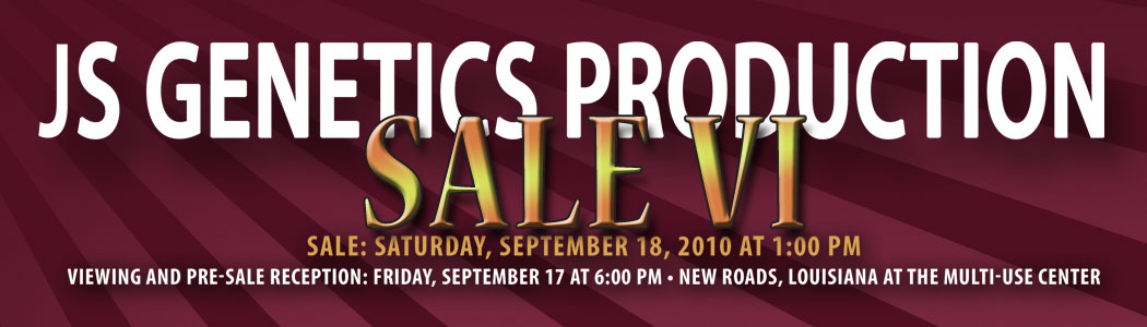 Sale VI